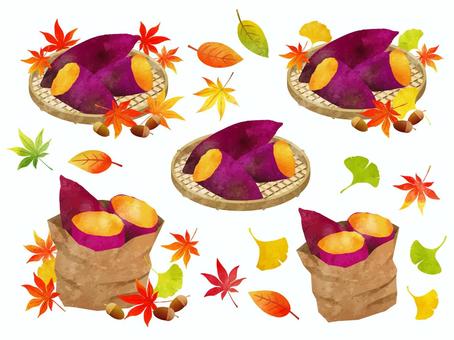 焼き芋ともみじセット 焼き芋,さつまいも,いちょう,どんぐり,木の実,もみじ,紅葉,楓,葉っぱ,秋のイラスト素材