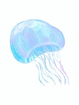クラゲの水彩画