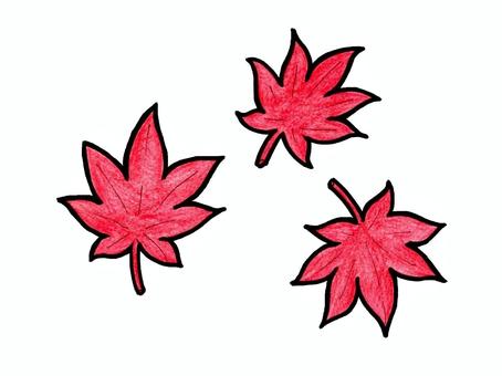 もみじの手描きイラスト　色鉛筆