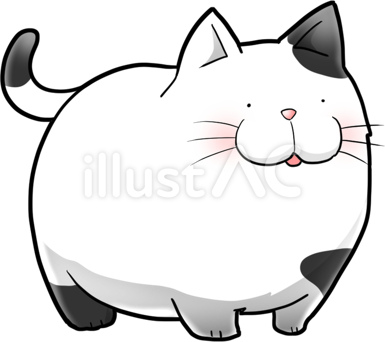 ネコ　白黒ぶち　 ネコ,白黒,丸いのイラスト素材