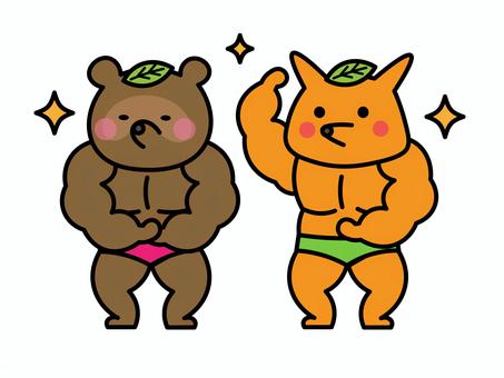 マッチョなたぬきときつねのイラスト マッチョ,筋肉,鍛える,たぬき,きつね,おもしろい,しんぷる,イラストのイラスト素材