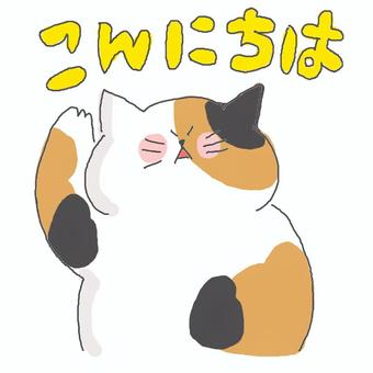 こんにちは♪ かわいい,こんにちは,挨拶,メッセージ,ねこ,三毛猫,動物,いきもの,ペット,可愛いのイラスト素材