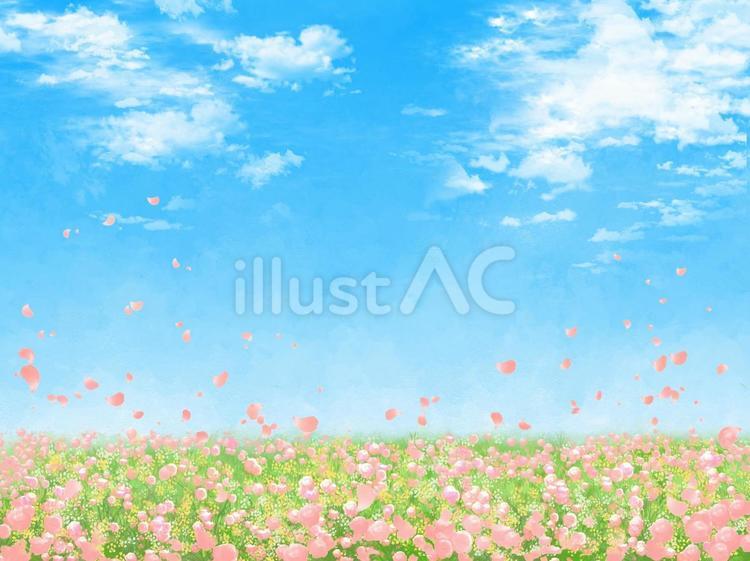 青空と白い雲、ピンクの花が咲く草原の背景 背景,春,綺麗のイラスト素材