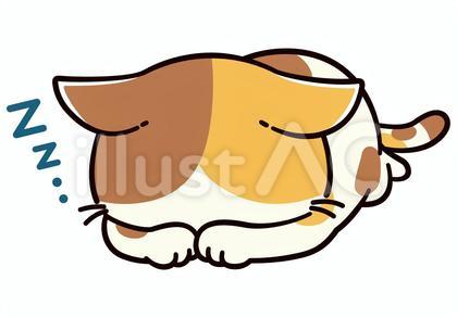 スヤスヤとゴメン寝をしている可愛い三毛猫