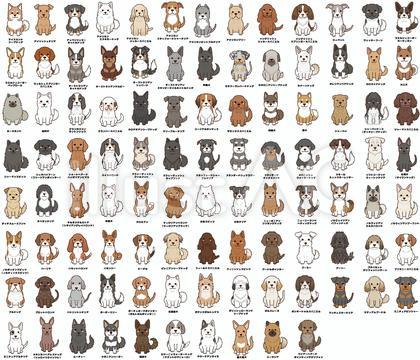 中型犬種の詰め合わせセット