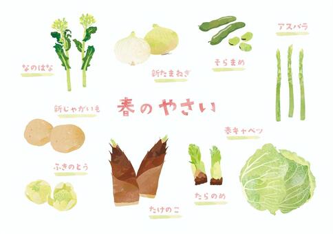 手書きの春の野菜 手書き,春野菜,野菜,菜の花,菜花,新玉ねぎ,玉ねぎ,そら豆,アスパラ,アスパラガスのイラスト素材