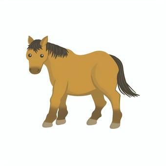 馬(木曽馬) 馬,木曽馬,ずんぐり,日本在来種,ポッコリ,短足のイラスト素材