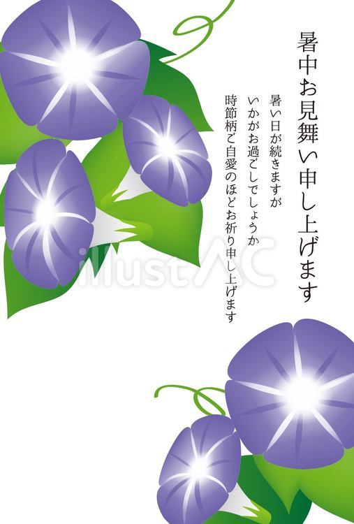 暑中見舞い・朝顔_青系 暑中見舞い,朝顔,花のイラスト素材