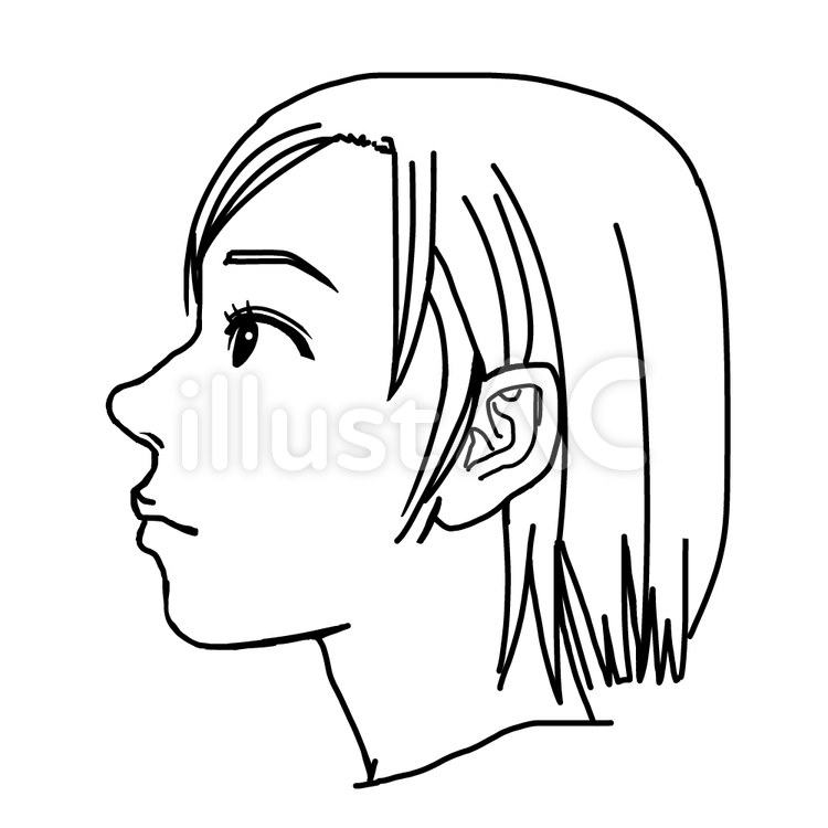 女性　横顔 横顔,顔,人物のイラスト素材