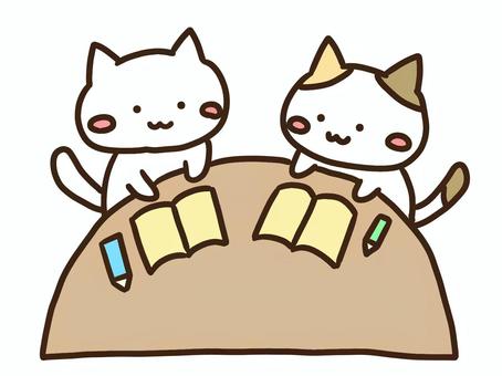 勉強会をするかわいい白ねこと三毛猫 勉強会,子供,話し合い,会議,動物,ねこ,かわいい,手書き,イラスト,ゆるいのイラスト素材