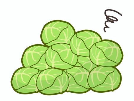 大量にあるキャベツのイラスト キャベツ,野菜,食べ物,在庫,大量,たくさん,葉物野菜,大量生産,大量消費,収穫のイラスト素材
