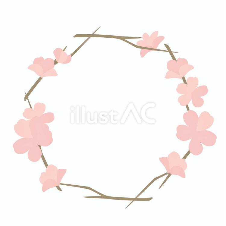 桜のフレーム 桜,フレーム,あしらいのイラスト素材