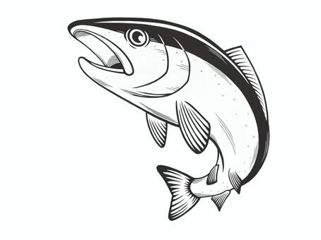 リアルに描いた魚の鮭(さけ)のイラスト 魚,海産物,鮭,シャケ,手描き,リアル,食材,サーモン,寿司ネタ,美味しいのイラスト素材