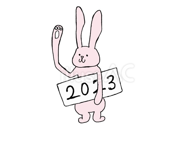 うさぎ　イラスト 可愛い,動物,素材のイラスト素材