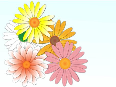 Illustration, gerbera, flower, flour, 