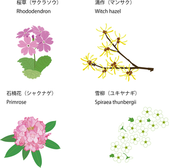 色々な花14