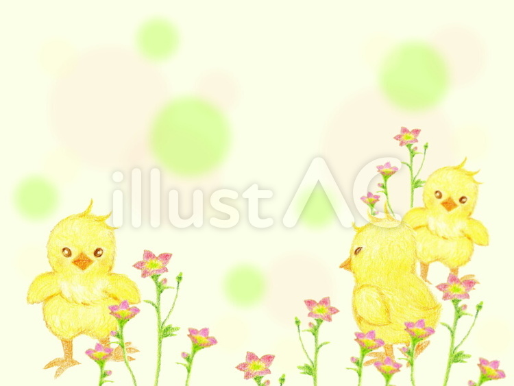 ひよこのお散歩 ひよこ,お散歩,幼稚園のイラスト素材