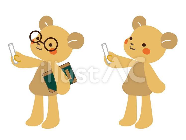 先生くまさん くま,かわいい,案内のイラスト素材