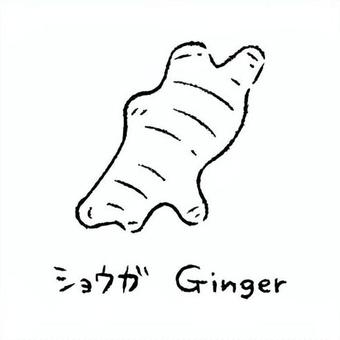手描きのしょうが2_名称入_白黒 ショウガ,野菜,アイコン,食べ物,シンプル,食材,健康,イラスト,料理,農業のイラスト素材