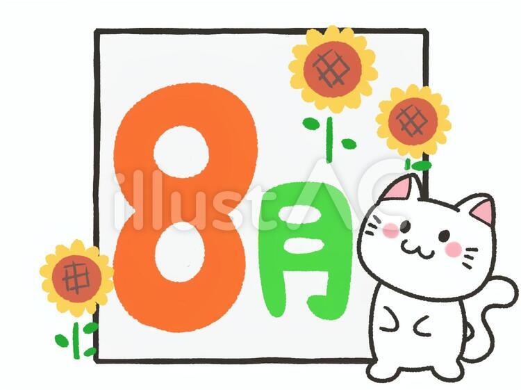 猫と八月の文字 八月,８月,猫のイラスト素材
