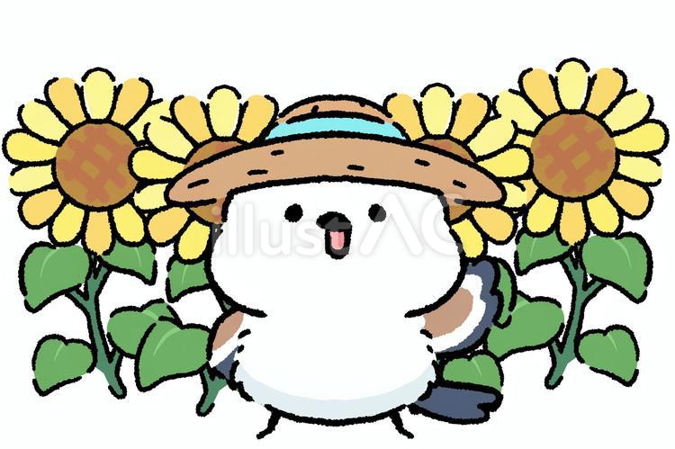 シマエナガ_ひまわり畑_01 シマエナガ,鳥,動物のイラスト素材