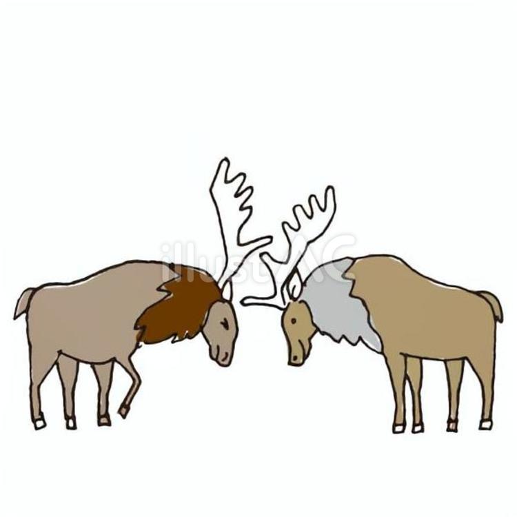 2匹のヘラジカ ヘラジカ,カナダ,動物のイラスト素材