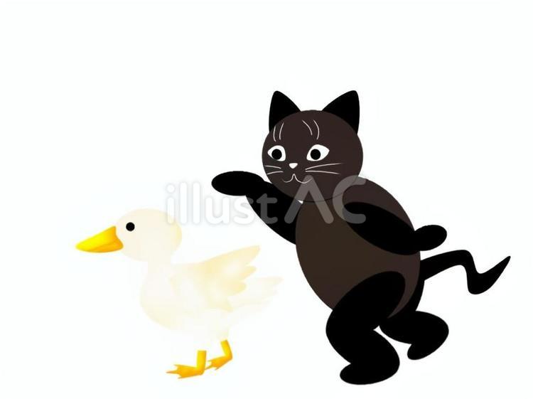 生活猫38 猫,アヒル,手描きのイラスト素材