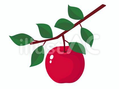 枝付きのりんごのイラスト