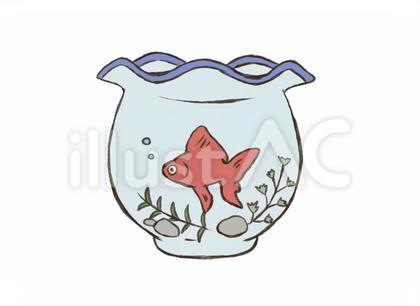 金魚鉢