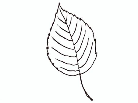 葉っぱの手描き線画イラスト01 自然,手描き,葉,葉っぱ,デザイン,おしゃれ,かわいい,やさしい,ナチュラル,シンプルのイラスト素材