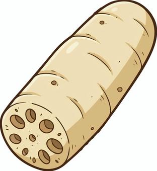 れんこん れんこん,蓮根,野菜,根菜,茶色,レンコン,秋,秋野菜,ベクター,ヘルシーのイラスト素材