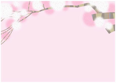 桜の背景