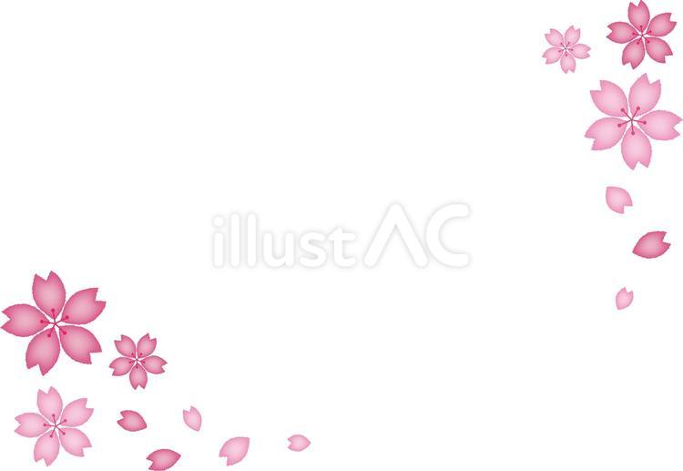 桜の花フレーム 桜,フレーム,春のイラスト素材