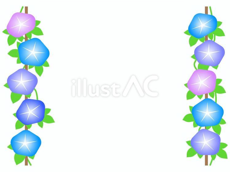 あさがおの花フレーム アサガオ,花,植物のイラスト素材