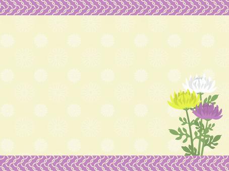 菊　フレーム背景3 菊,花,秋,植物,仏花,和,和風,飾り枠,枠,フレームのイラスト素材