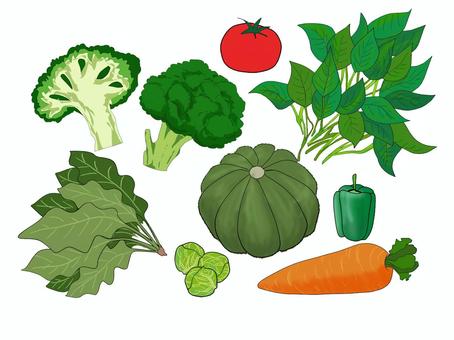 緑黄色野菜 緑黄色野菜,ホウレンソウ,ブロッコリー,カボチャ,人参,ピーマン,芽キャベツ,モロヘイヤ,トマト,セットのイラスト素材