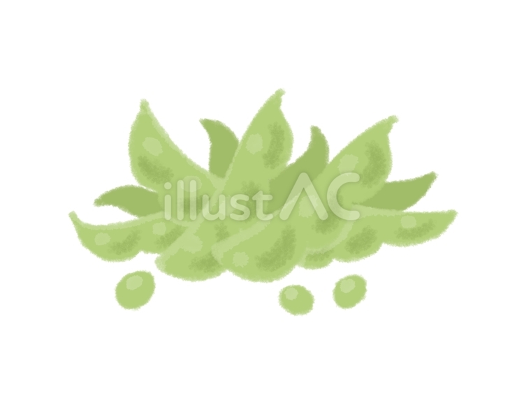 枝豆 枝豆,野菜,おつまみのイラスト素材