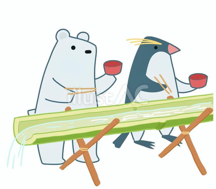流しそうめんをするペンギンと白くま 流しそうめん,夏,白くまのイラスト素材