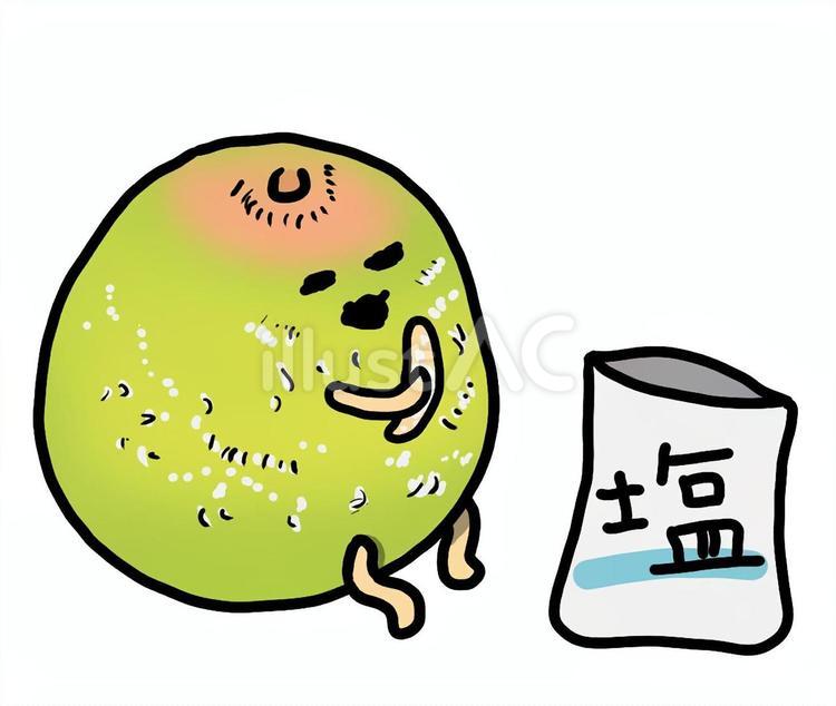 塩をかける梅干しのイラスト。 梅干し,塩,食べ物のイラスト素材