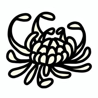 Illustration, chrysanthemum, mum, flower, 