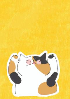 嬉しい三毛猫ちゃん かわいい,嬉しい,やったー,万歳,楽しい,ポジティブ,ねこ,三毛猫,どうぶつ,いきもののイラスト素材