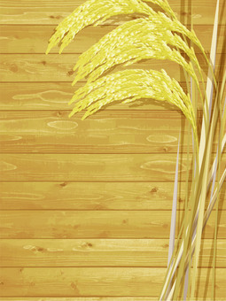 金色の稲穂と板の背景2　ine009 稲穂,金色,リアル,収穫,お米,ナチュラル,お洒落,自然,植物,大人っぽいのイラスト素材