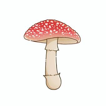 ベニテングタケのイラスト きのこ,ベニテングタケ,キノコ,菌類,菌,植物,自然,山,秋,きのこ狩りのイラスト素材