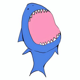 サメ サメ,ポップ,可愛,青色,生き物のイラスト素材