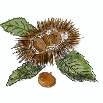 栗 栗 栗,秋,果物,実り,摘む,栗拾い,季節,果樹園,イラスト,モンブランのイラスト素材