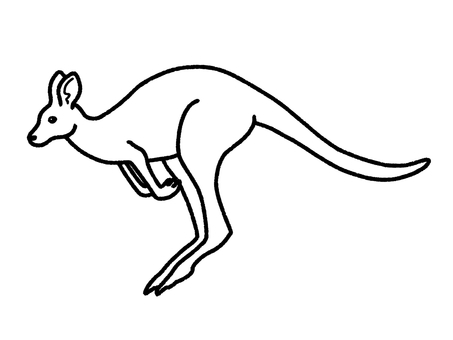 カンガルー カンガルー,動物園,哺乳類,ジャンプ,生き物,塗り絵のイラスト素材