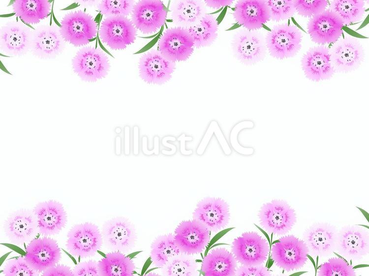 撫子フレーム 撫子,花,フレームのイラスト素材