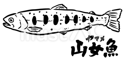 山女魚