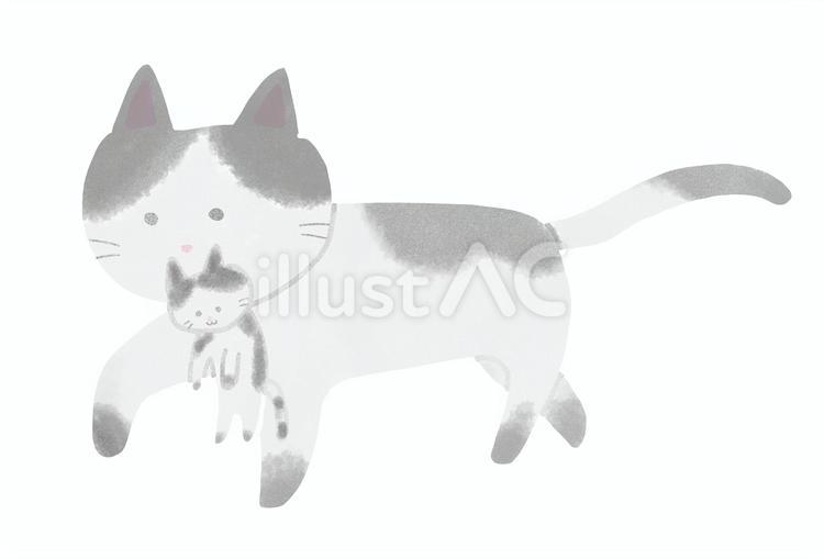 子猫をくわえたハチワレ柄の親猫 猫,子猫,親猫のイラスト素材
