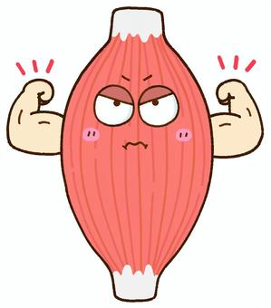 逞しい筋肉くん 筋肉,上腕筋,上腕二頭筋のイラスト素材